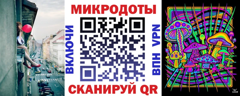 где купить наркоту  Ноябрьск  Псилоцибиновые грибы Psilocybe 